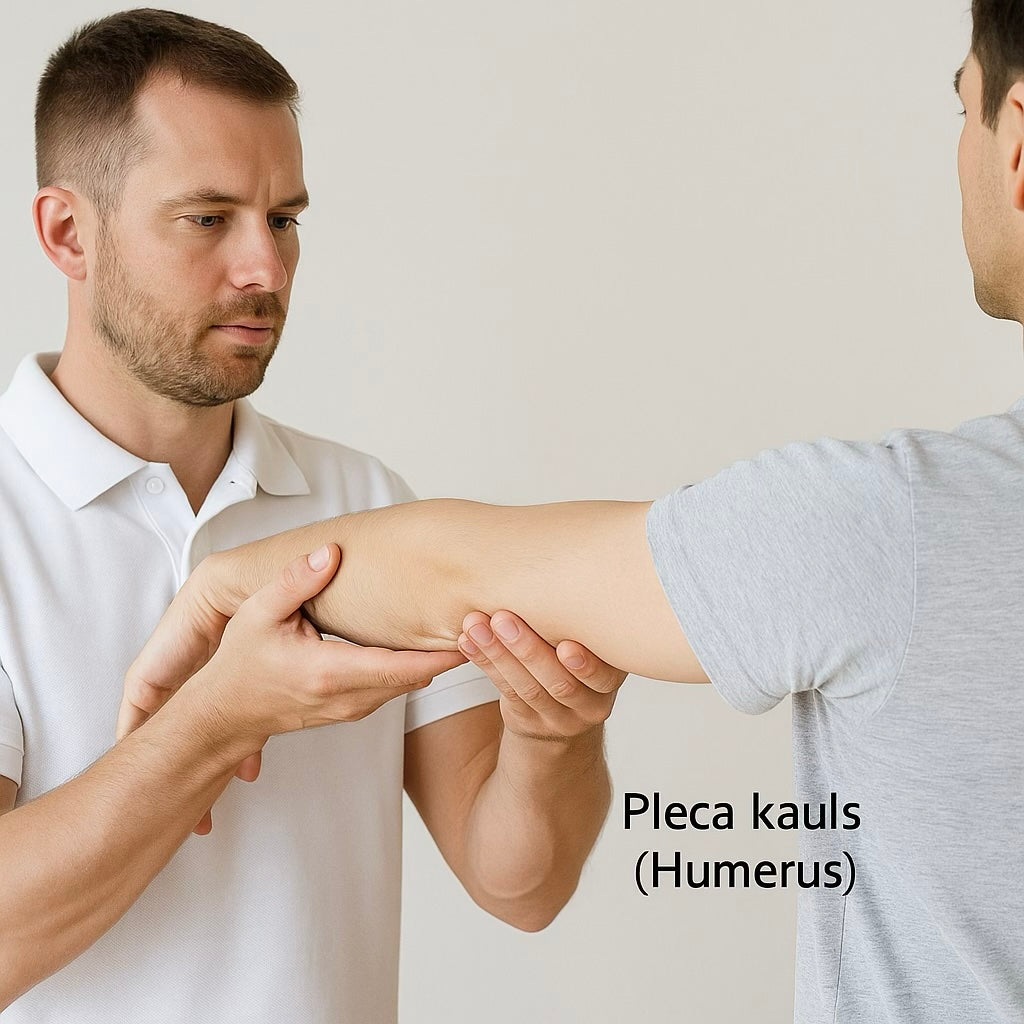 Elkoņa bursīts: atbalsta metodes locītavas mobilitātei un komfortam